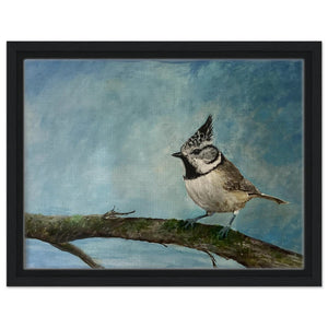 Framed Canvas - Crested Tit - Cairngorm Artists