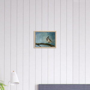 Framed Canvas - Crested Tit - Cairngorm Artists
