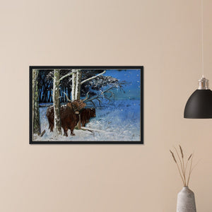 Framed Canvas - Snowy Coos - Cairngorm Artists