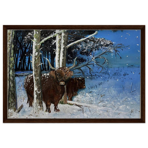 Framed Canvas - Snowy Coos - Cairngorm Artists