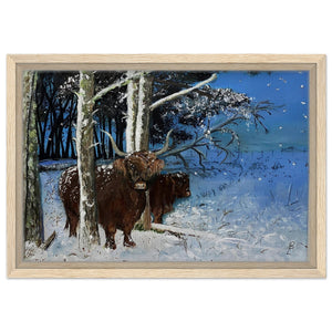Framed Canvas - Snowy Coos - Cairngorm Artists