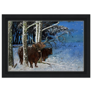 Framed Canvas - Snowy Coos - Cairngorm Artists