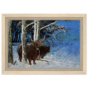 Framed Canvas - Snowy Coos - Cairngorm Artists