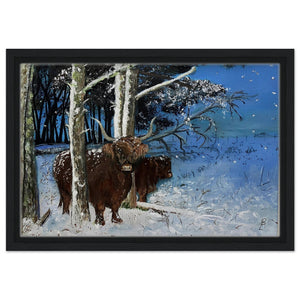 Framed Canvas - Snowy Coos - Cairngorm Artists