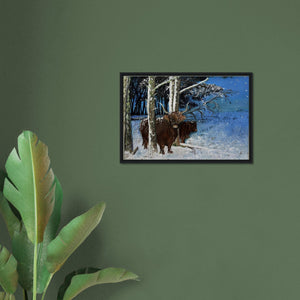 Framed Canvas - Snowy Coos - Cairngorm Artists