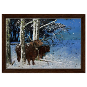 Framed Canvas - Snowy Coos - Cairngorm Artists