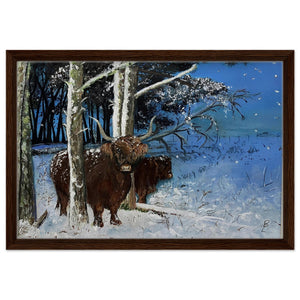 Framed Canvas - Snowy Coos - Cairngorm Artists