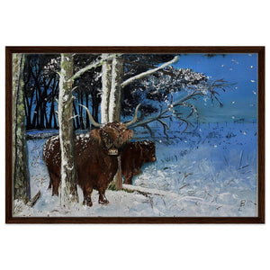 Framed Canvas - Snowy Coos - Cairngorm Artists