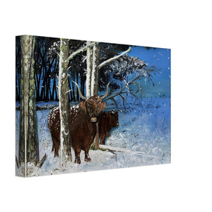 Frameless Canvas - Snowy Coos - Cairngorm Artists