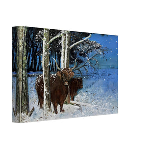 Frameless Canvas - Snowy Coos - Cairngorm Artists