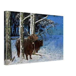 Frameless Canvas - Snowy Coos - Cairngorm Artists