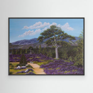 Fraoch - canvas print from original artwork - Cairngorm Artists