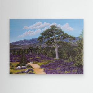 Fraoch - canvas print from original artwork - Cairngorm Artists