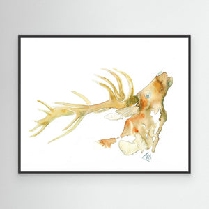 Golden Stag - canvas print from original artwork - Cairngorm Artists