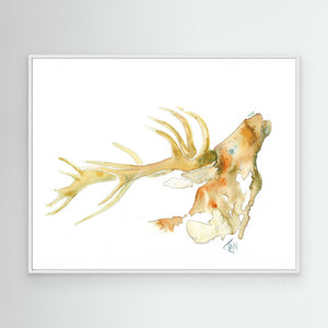 Golden Stag - canvas print from original artwork - Cairngorm Artists