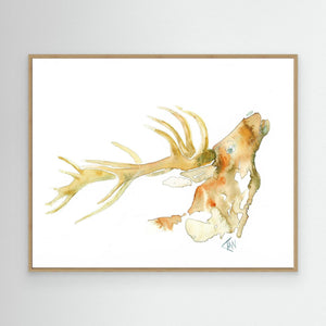 Golden Stag - canvas print from original artwork - Cairngorm Artists