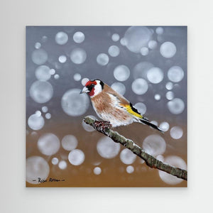 Goldfinch Glow - canvas print from original acrylic painting - Cairngorm Artists