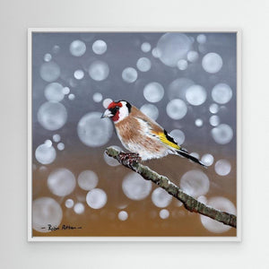 Goldfinch Glow - canvas print from original acrylic painting - Cairngorm Artists