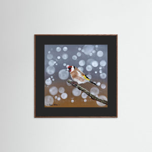 Goldfinch Glow- Fine art print from original acrylic painting - Cairngorm Artists
