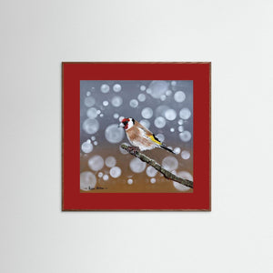 Goldfinch Glow- Fine art print from original acrylic painting - Cairngorm Artists