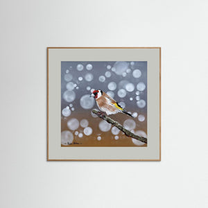 Goldfinch Glow- Fine art print from original acrylic painting - Cairngorm Artists