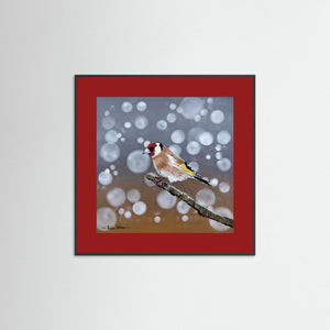 Goldfinch Glow- Fine art print from original acrylic painting - Cairngorm Artists