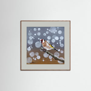 Goldfinch Glow- Fine art print from original acrylic painting - Cairngorm Artists