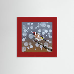 Goldfinch Glow- Fine art print from original acrylic painting - Cairngorm Artists