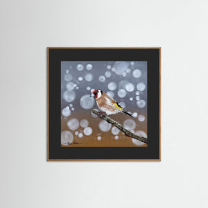 Goldfinch Glow- Fine art print from original acrylic painting - Cairngorm Artists