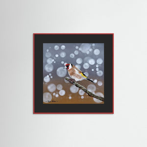 Goldfinch Glow- Fine art print from original acrylic painting - Cairngorm Artists