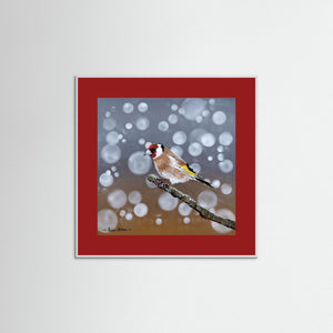 Goldfinch Glow- Fine art print from original acrylic painting - Cairngorm Artists