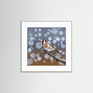 Goldfinch Glow- Fine art print from original acrylic painting - Cairngorm Artists