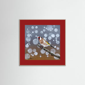 Goldfinch Glow- Fine art print from original acrylic painting - Cairngorm Artists
