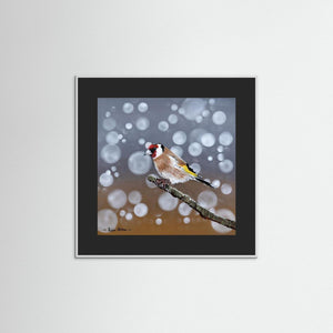 Goldfinch Glow- Fine art print from original acrylic painting - Cairngorm Artists