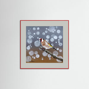 Goldfinch Glow- Fine art print from original acrylic painting - Cairngorm Artists