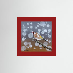 Goldfinch Glow- Fine art print from original acrylic painting - Cairngorm Artists