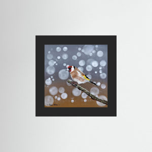 Goldfinch Glow- Fine art print from original acrylic painting - Cairngorm Artists