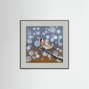 Goldfinch Glow- Fine art print from original acrylic painting - Cairngorm Artists