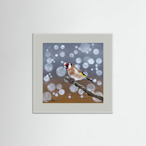 Goldfinch Glow- Fine art print from original acrylic painting - Cairngorm Artists
