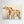 Greyhounds - canvas print from original artwork - Cairngorm Artists