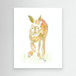 Hare - canvas print from original artwork - Cairngorm Artists
