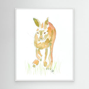 Hare - canvas print from original artwork - Cairngorm Artists