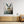 Hare in Bloom - canvas print from original artwork - Cairngorm Artists