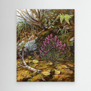 Heather Bloom - canvas print from original artwork - Cairngorm Artists