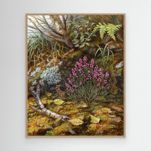 Heather Bloom - canvas print from original artwork - Cairngorm Artists