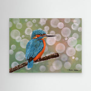 Kingfisher Moments - canvas print from original acrylic painting - Cairngorm Artists