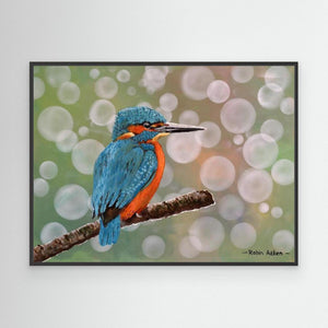 Kingfisher Moments - canvas print from original acrylic painting - Cairngorm Artists