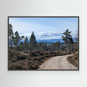Loch Morlich Path - Canvas print from original photograph - Cairngorm Artists