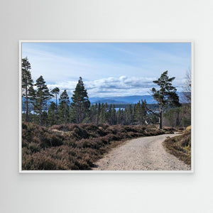 Loch Morlich Path - Canvas print from original photograph - Cairngorm Artists