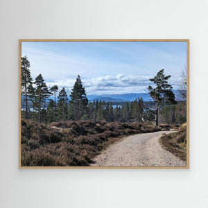 Loch Morlich Path - Canvas print from original photograph - Cairngorm Artists